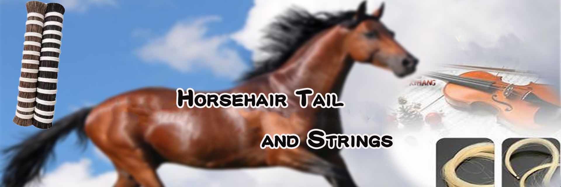 গুণ ঘোড়ার চুল মানি এক্সটেনশন কারখানা